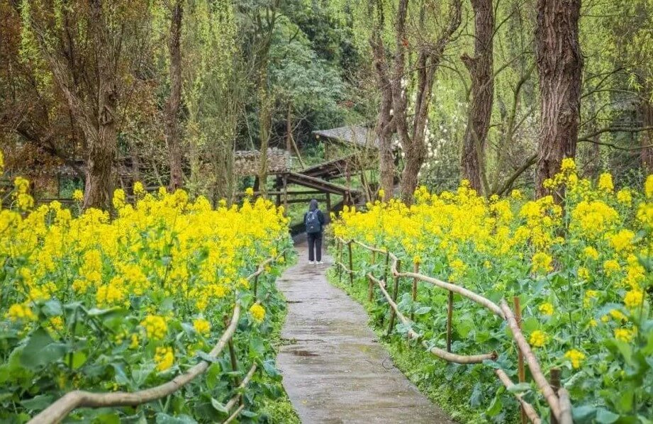 在川美上學(xué)是一種什么體驗(yàn)？重慶美術(shù)集訓(xùn)畫室?guī)銇?lái)漲姿勢(shì)了！