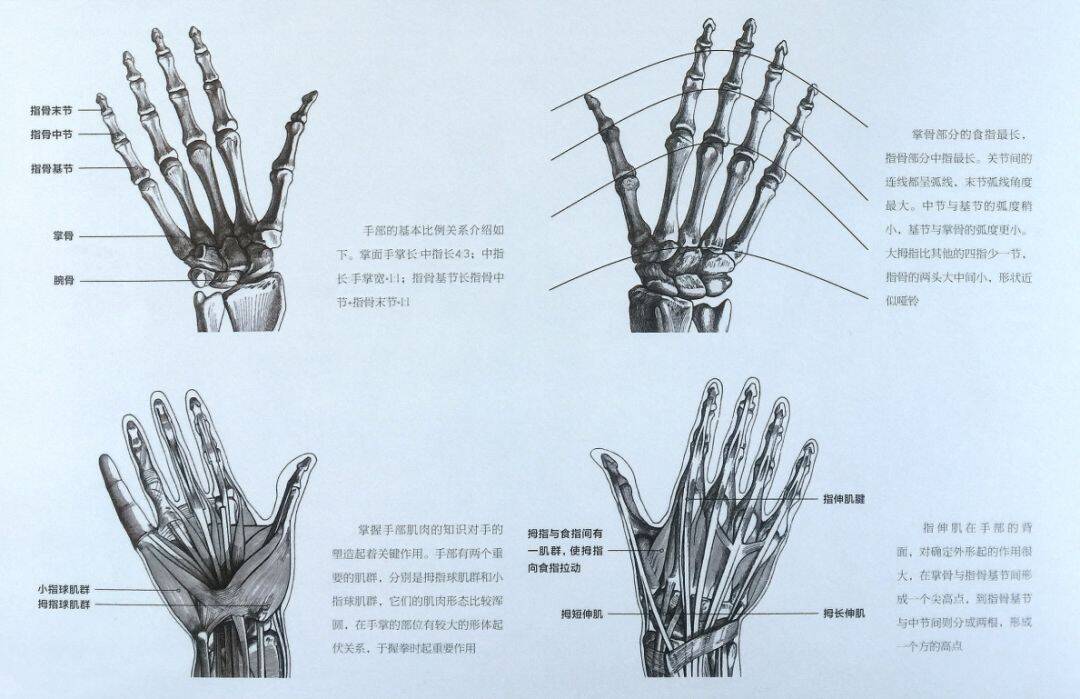 重慶美術集訓,重慶十大畫室07
